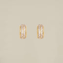 Double Crystal Line Earrings