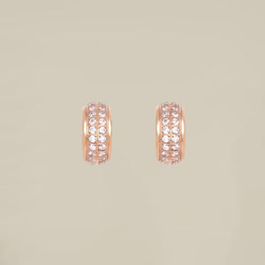 Double Crystal Line Earrings