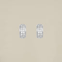 Double Crystal Line Earrings