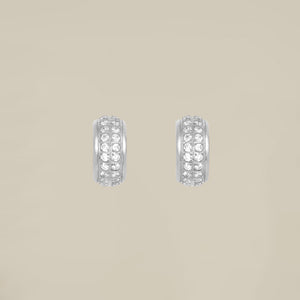Double Crystal Line Earrings
