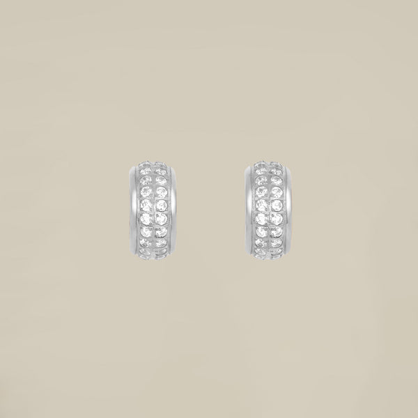 Double Crystal Line Earrings