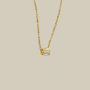 The Reed Pendant
